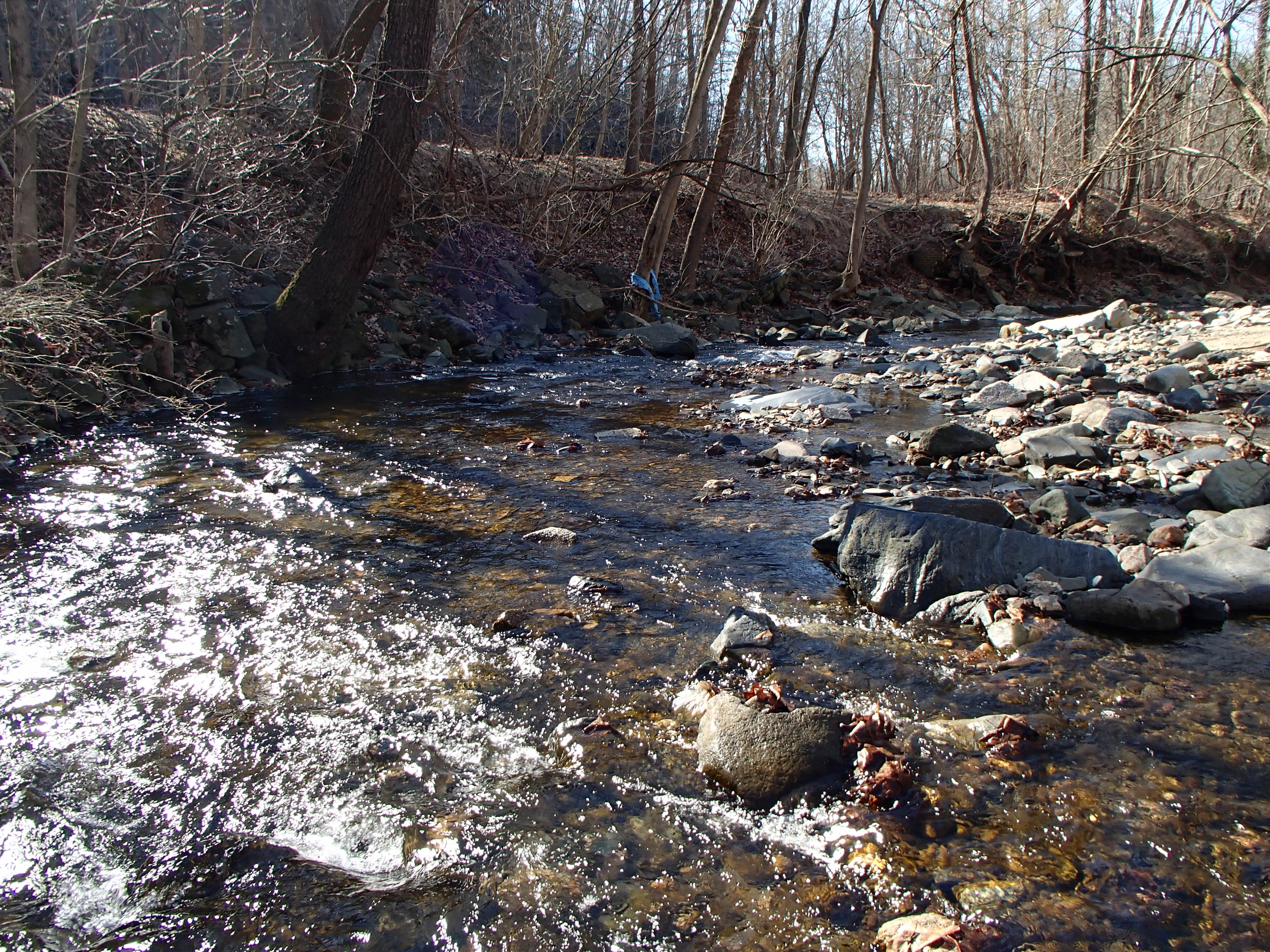 Field photo showing stream conditions at site PATL-209-X-2016_midpoint looking downstream